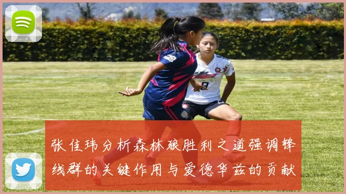 张佳玮分析森林狼胜利之道强调锋线群的关键作用与爱德华兹的贡献